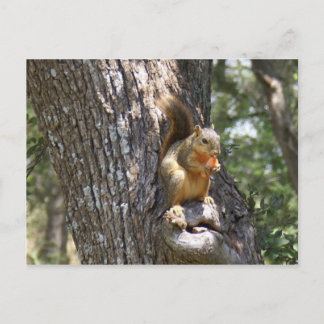 Eet je wortelen briefkaart