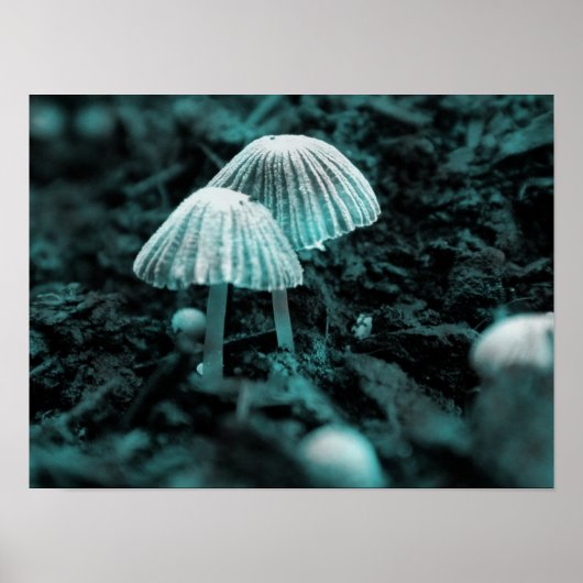 Eet me... Drink me... Poster (Voorkant)