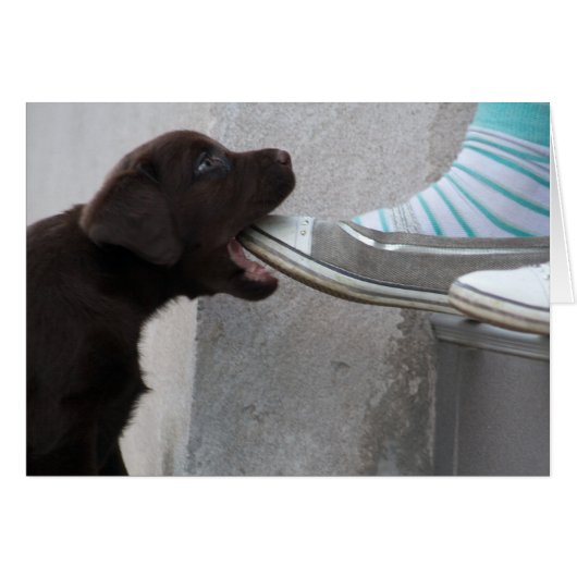 Eet mijn hoefijzer! Labrador Puppy (Voorkant Horizontaal)