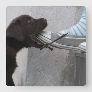 Eet Mijn Schoen! Het Puppy van Labrador Vierkante Klok