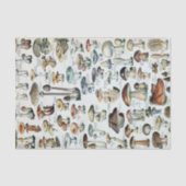  Eetbare paddenstoel Tissuepapier (Voorkant)