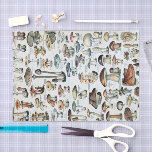  Eetbare paddenstoel Tissuepapier (Craft)