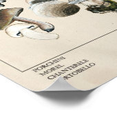 Eetbare paddenstoelen Grafiek Poster (Hoek)