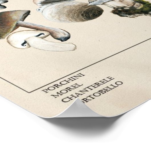 Eetbare paddenstoelen Grafiek Poster (Hoek)