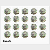 Eetbare Sticker (Vel)