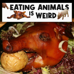 Eetdieren zijn vreemd, Vegan Activism Bumpersticker
