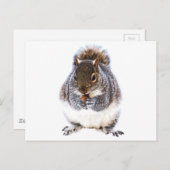 Eetdun Briefkaart (Voorkant / Achterkant)