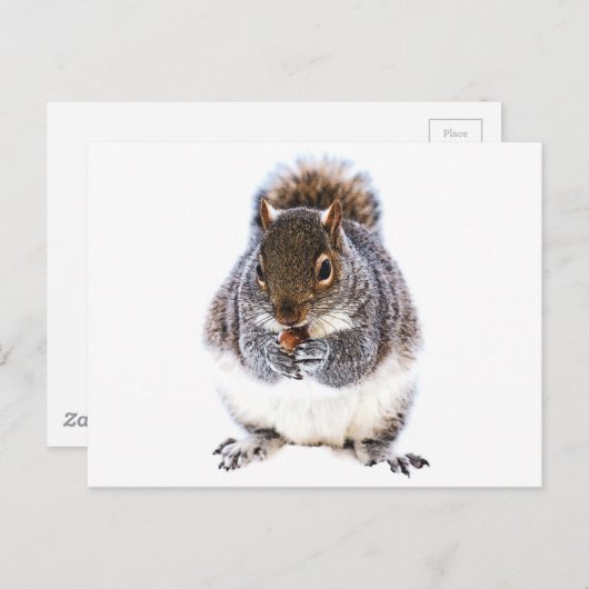 Eetdun Briefkaart (Voorkant / Achterkant)