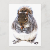 Eetdun Briefkaart (Voorkant)