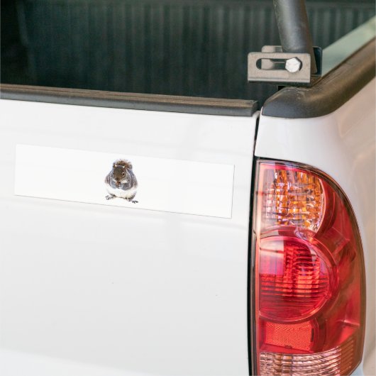 Eetdun Bumpersticker (Op Truck)