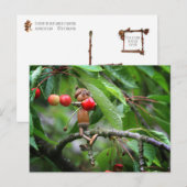 Eetkersen in de boomzomer briefkaart (Voorkant / Achterkant)