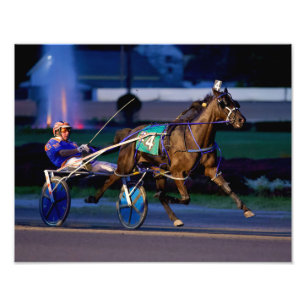 EEUWENDEAVOR FOTO AFDRUK