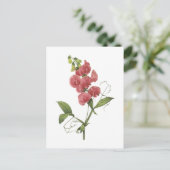 eeuwigdurende schat door Redouté Briefkaart (Staand voorkant)