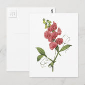 eeuwigdurende schat door Redouté Briefkaart (Voorkant / Achterkant)