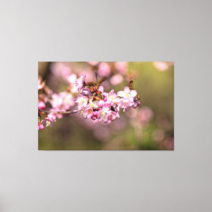 Eeuwige Schoonheid Van Sakura Kersenbloesems Canvas Afdruk