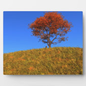 Effacer la plaque photo du jour d'automne (Devant)