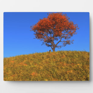Effacer la plaque photo du jour d'automne