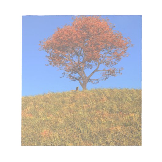 Effacer le Bloc-notes du jour d'automne (Devant)