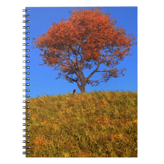 Effacer le Carnet du jour d'automne (Devant)