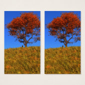 Effacer les Signets de la journée d'automne (Devant & derrière)