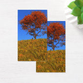 Effacer les Signets de la journée d'automne (Bureau)