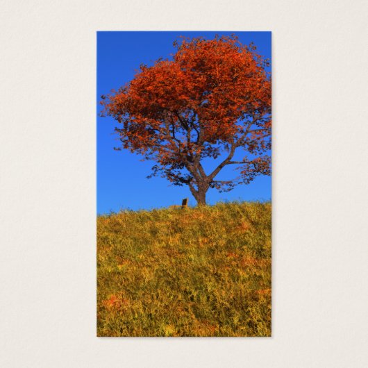 Effacer les Signets de la journée d'automne (Devant)