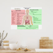 Effecten op lange termijn van de Ethanol-indigesti Poster (Keuken)