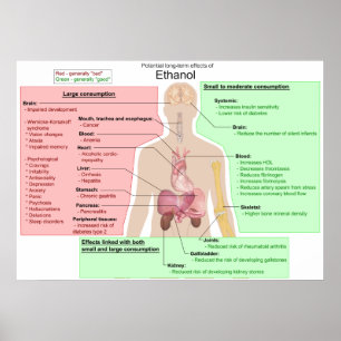 Effecten op lange termijn van de Ethanol-indigesti Poster