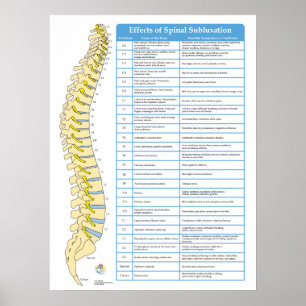 Effecten van Spinale Subluxatie Chiropractie Poste Poster