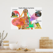 Effecten van verontreiniging op het menselijk lich poster (Keuken)