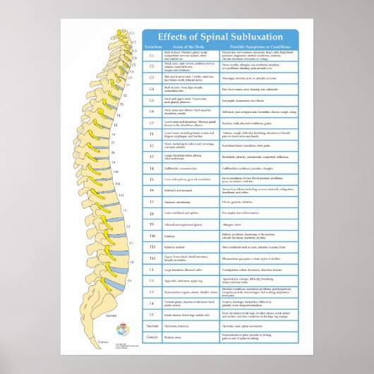 Effects of Spinal Subluxation Chiropractic Poster (Devant)