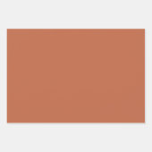 Effen kleur effen pastel rust sinaasappel inpakpapier vel (Voorkant 2)