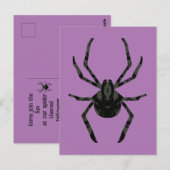 Effen oude spin briefkaart (Voorkant / Achterkant)