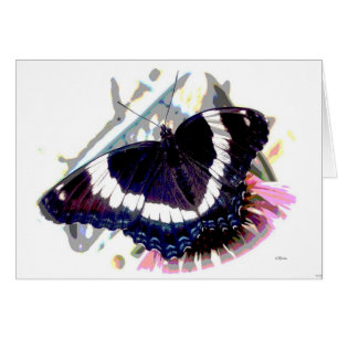 Effet papillon 3