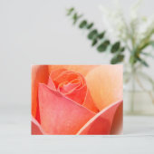 Effet rose aquarelle Floral Carte postale (Debout devant)
