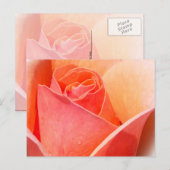 Effet rose aquarelle Floral Carte postale (Devant / Derrière)