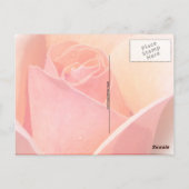 Effet rose aquarelle Floral Carte postale (Dos)