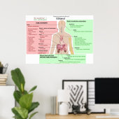 Effets à long terme de l'éthanol Tableau d'indiges (Bureau à domicile)