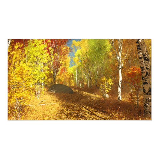 Effondrement de l'impression photo légère (Devant)