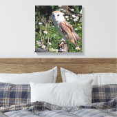 Effraie à face blanche sur toile tendue (Insitu(Chambre))
