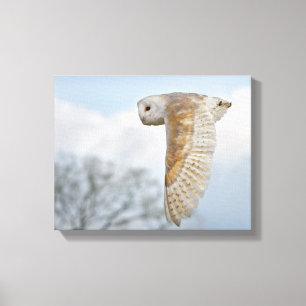 Effraie des Barns en Vol Impression sur Toile Emba