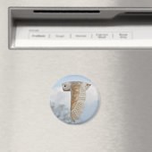 Effraie des clochers en vol Magnet (In Situ (Lave-vaisselle))