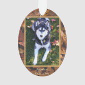 Éffrayant le chiot Husky (dos)