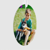 Éffrayant le chiot Husky (devant)