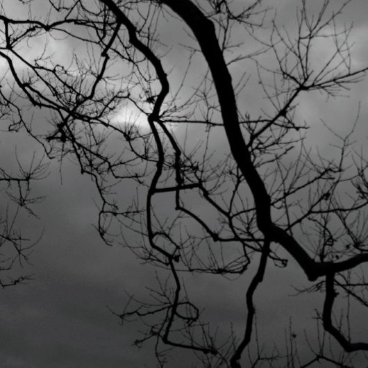 ÉFFRAYANTS ARBRES HEUREUX HALLOWEEN PLIÉ Carte de 