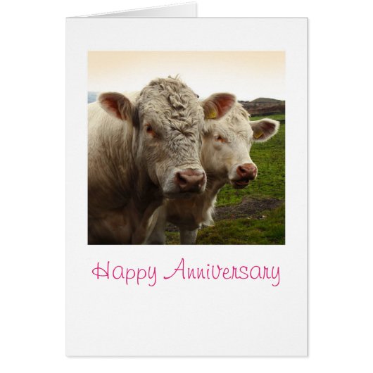 Effraye la carte d'anniversaire (Devant)