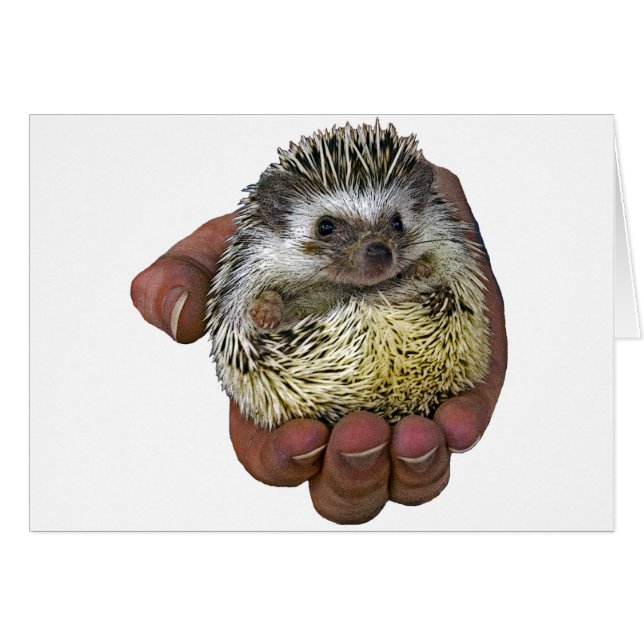 Egel (Voorkant Horizontaal)