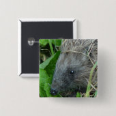 Egel #1 vierkante button 5,1 cm (Voorkant /achterkant)