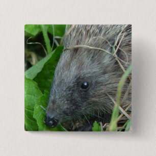 Egel #1 vierkante button 5,1 cm