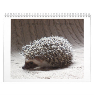 Egel-baby kalender 3